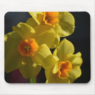 Pretty bright colour yellow daffodil flower mouse mat