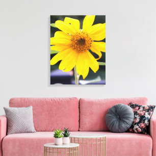 Pretty Bright Yellow Sunflower Close-up Canvas Print