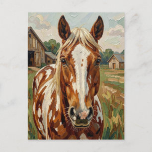 Pretty Brown and White Horse   Keeping in Touch Postcard