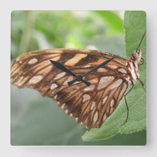Pretty Brown Butterfly Wall Clock