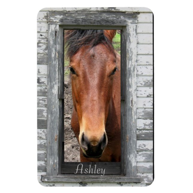 Pretty Brown Horse, Customise name Magnet (Vertical)