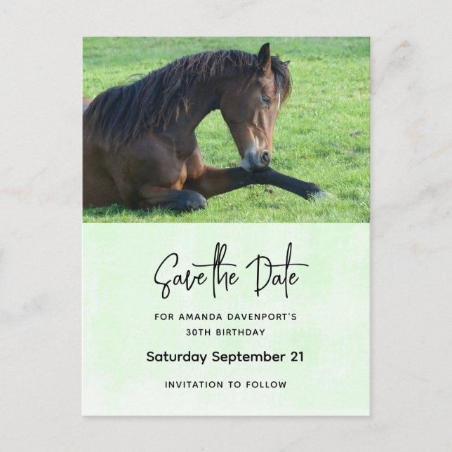 Pretty Brown Horse Laying Down Save the Date Invitation Postcard (Front)