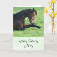 Pretty Brown Horse Laying in the Grass Birthday