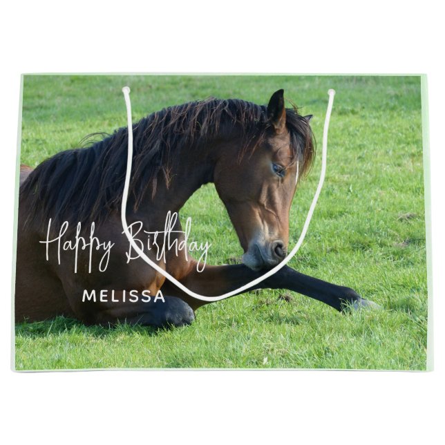 Pretty Brown Horse Laying in the Grass Birthday Large Gift Bag (Front)