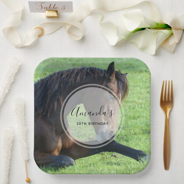 Pretty Brown Horse Laying in the Grass Birthday Paper Plate (Wedding)