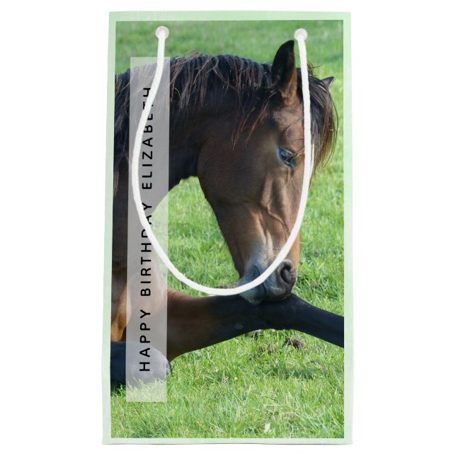 Pretty Brown Horse Laying in the Grass Birthday Small Gift Bag (Front)