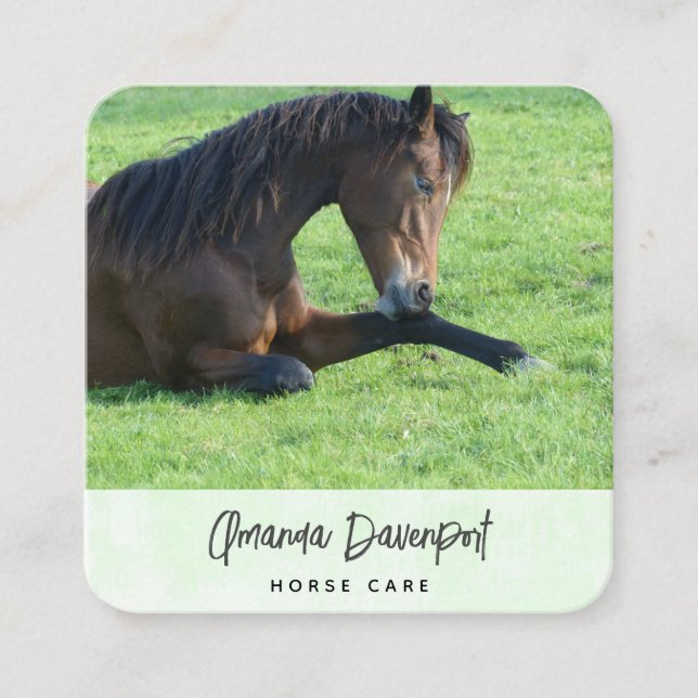 Pretty Brown Horse Laying in the Grass Business Ca Square Business Card (Front)
