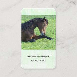 Pretty Brown Horse Laying in the Grass Business Card