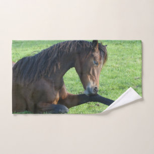 Pretty Brown Horse Laying in the Grass Hand Towel