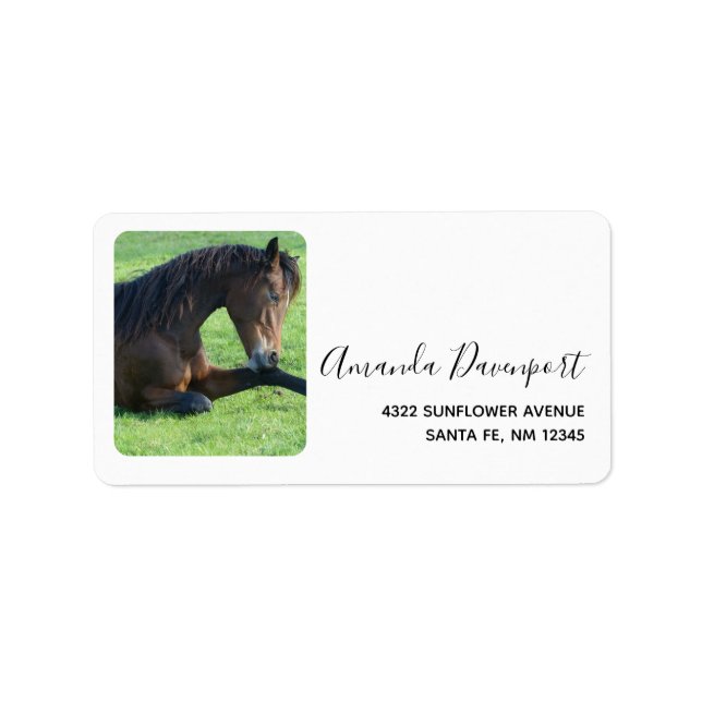 Pretty Brown Horse Laying in the Grass Label (Front)