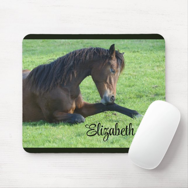 Pretty Brown Horse Laying in the Grass Mouse Mat (With Mouse)