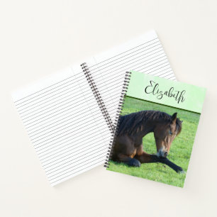 Pretty Brown Horse Laying in the Grass Notebook