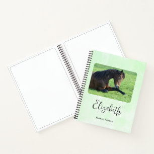 Pretty Brown Horse Laying in the Grass Notebook