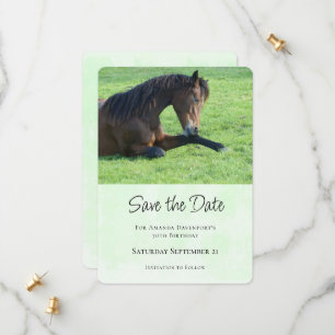 Pretty Brown Horse Laying in the Grass Save The Date
