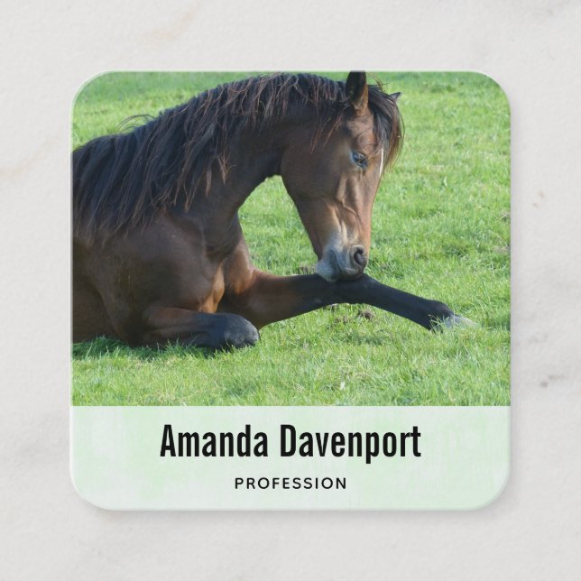 Pretty Brown Horse Laying in the Grass Square Business Card (Front)