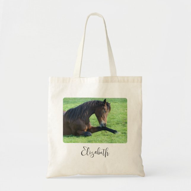 Pretty Brown Horse Laying in the Grass Tote Bag (Front)
