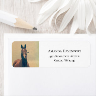 Pretty Brown Horse Standing in a Field