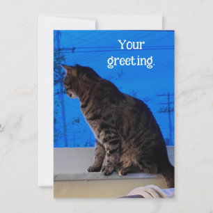 Pretty Brown Tabby Cat Custom Greeting Cards