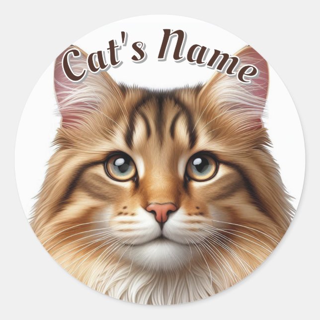 Pretty Brown Tabby Longhaired Cat • Personalised Classic Round Sticker (Front)