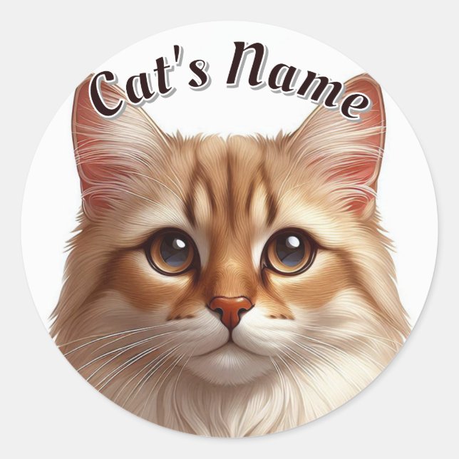 Pretty Brown Tabby Longhaired Cat • Personalised Classic Round Sticker (Front)