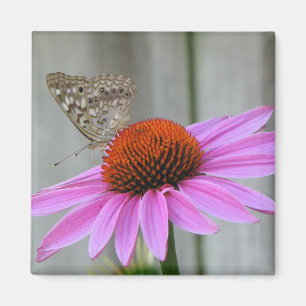 Pretty Butterfly Magnet