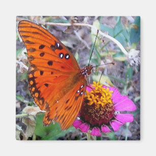 Pretty Butterfly Magnet