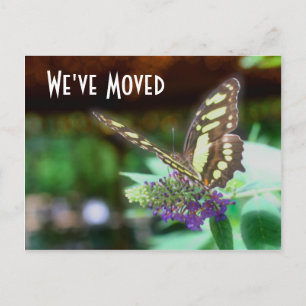 Pretty Butterfly New Address Nature Postcard