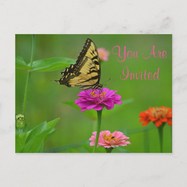 Pretty Butterfly On Zinnia Invitation Postcard (Front)