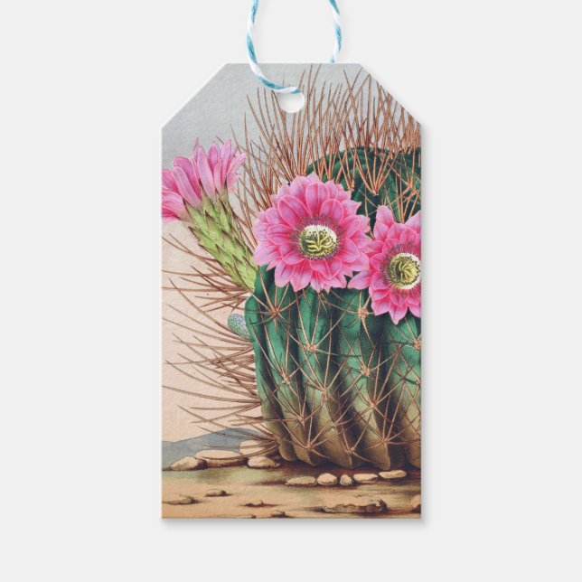 pretty cactus gift tags (Front)
