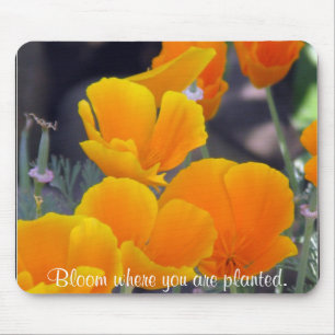 Pretty California Poppies with Quote Mouse Mat