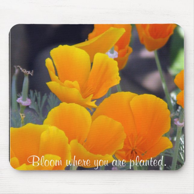 Pretty California Poppies with Quote Mouse Mat (Front)