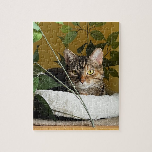 Pretty Cat Behind Leaves on Shelf, Puzzles (Vertical)