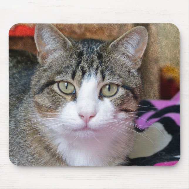 Pretty Cat Mouse Mat (Front)
