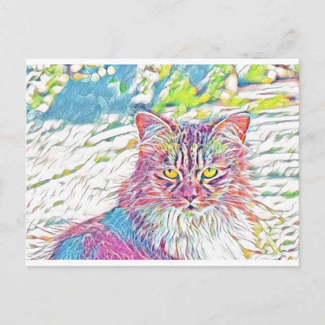 Pretty Cat plain - birthday or any other occasion Postcard (Front)