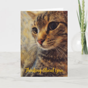 Pretty Cat Thinking of You Card