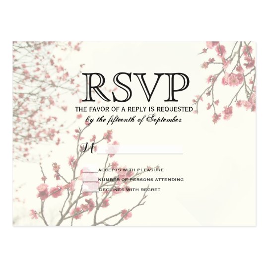 Pretty Cherry Blossom Trees on Elegant White Postcard