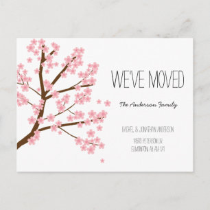 Pretty Cherry Blossoms Sakura Tree We've Moved Postcard