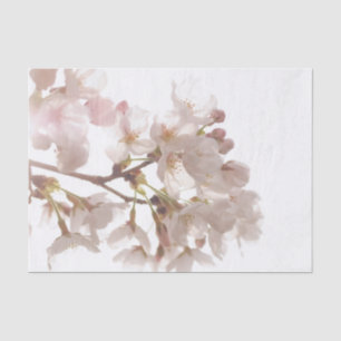 Pretty Cherry Blossoms Tissue Paper