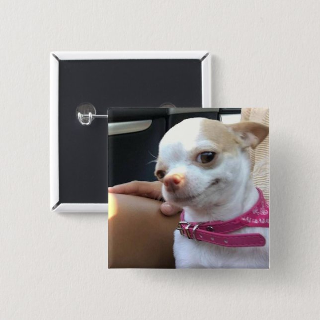 Pretty Chihuahua Dog Meme Pin Button (Front & Back)