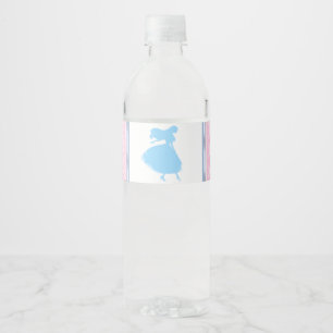 Pretty Cinderella Princess Water Bottle Labels