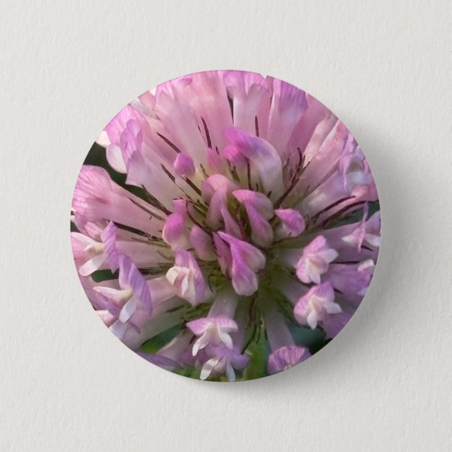 Pretty Clover Flower  6 Cm Round Badge (Front)