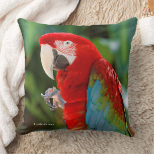 Pretty Colourful Green-Winged Macaw Parrot Bird Cushion