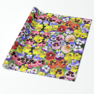 Designer Flower Wrapping Paper - Pansy - FREE UK DELIVERY