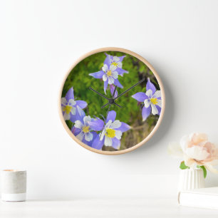 Pretty Columbine Flowers in blue, yellow, violet Clock