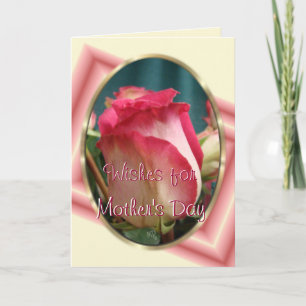 Pretty Coral Bi-colour Rose2- any occasion Card