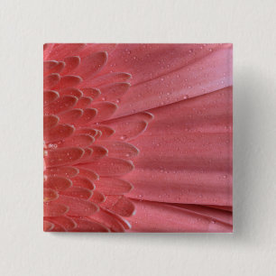 Pretty Coral Pink Gerbera Daisy 15 Cm Square Badge