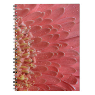 Pretty Coral Pink Gerbera Daisy Notebook