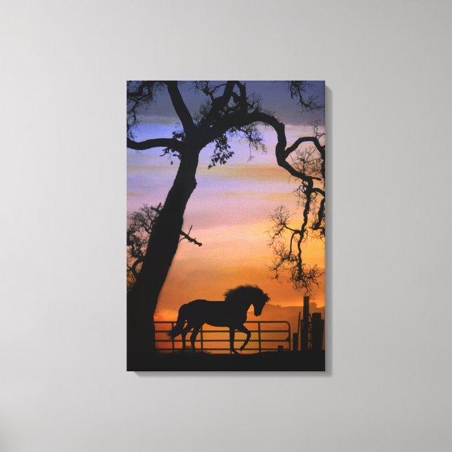Pretty Country Horse in A Southwestern Sunrise Canvas Print (Front)