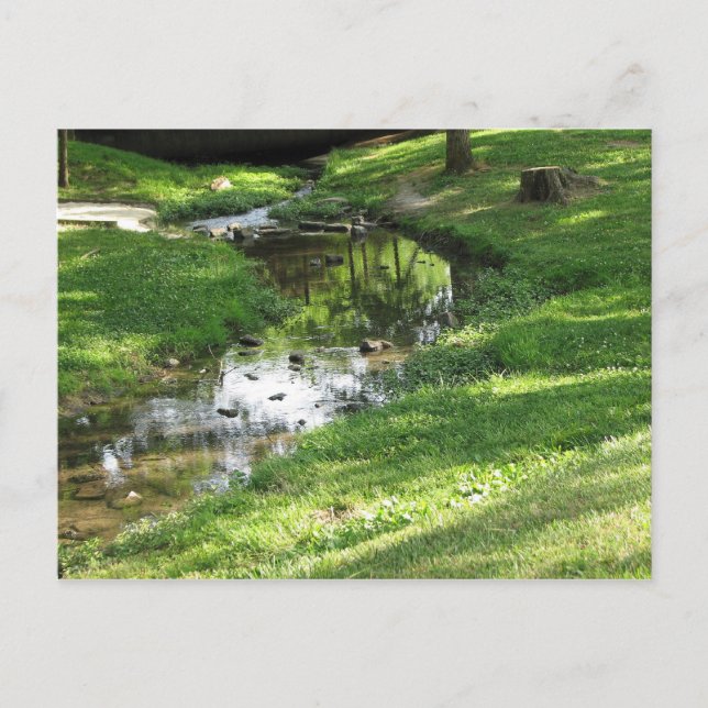 Pretty Creek Postcard (Front)