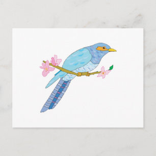 pretty cuckoo bird and flowers postcard